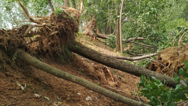 包含山西队遭遇浙江侵袭，落得下风的词条