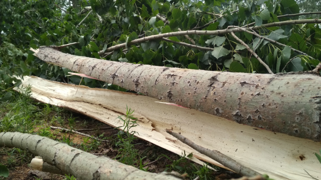 包含山西队遭遇浙江侵袭，落得下风的词条