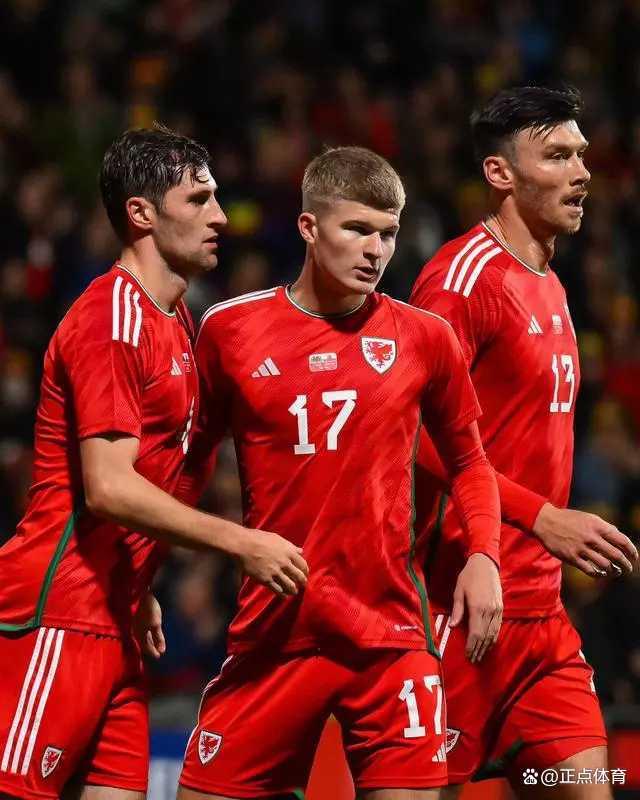 威尔士球队在比赛中获胜，成功晋级