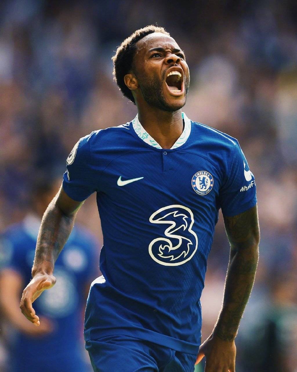 南安普顿全面出战无敌，积分不减标志